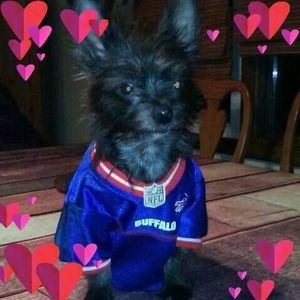 Meet your Posher, Patty